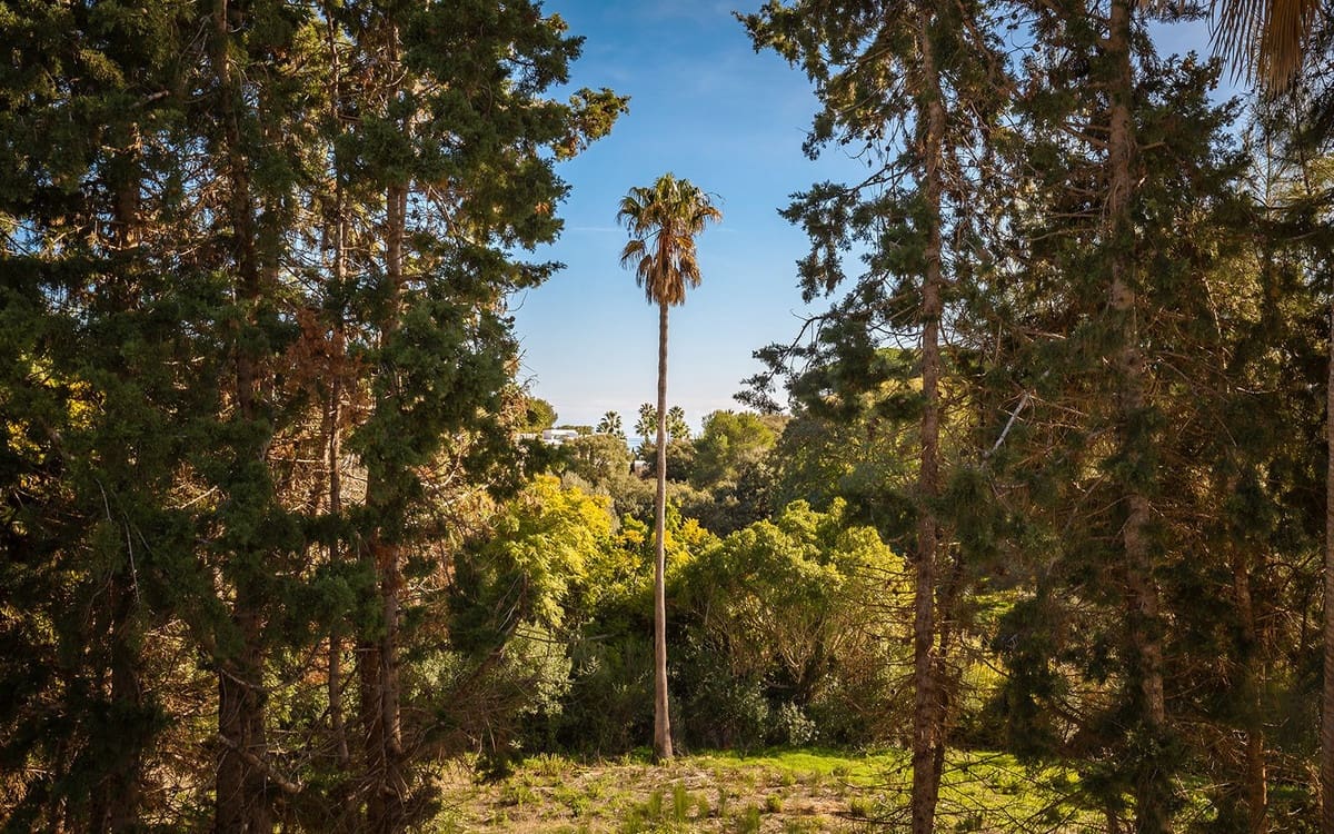 7 chambre Villa/Maison à vendre à Sotogrande - 12 995 000 € (Ref: 9626184)