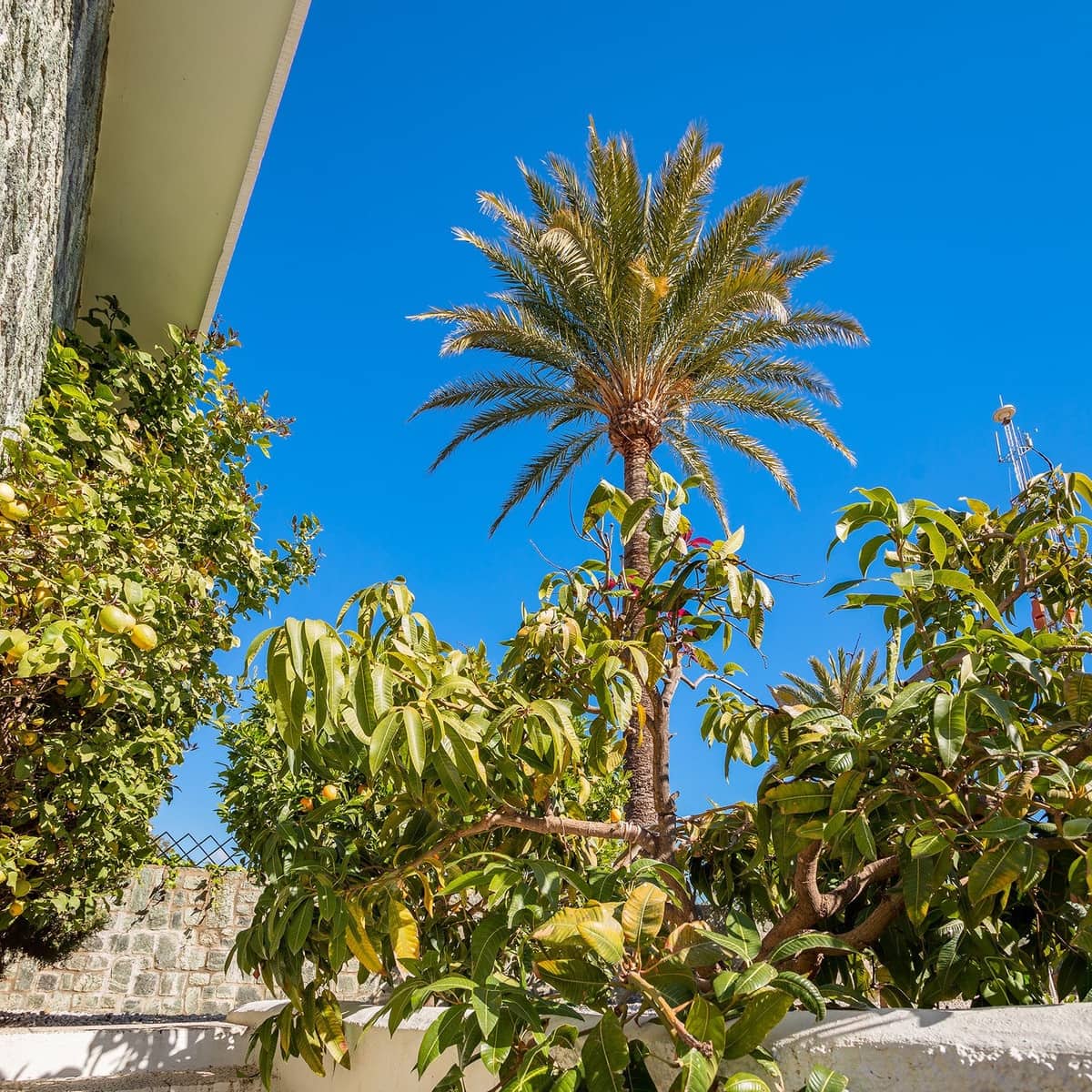 4 soveværelse Villa til salg i Nueva Andalucia - € 2.195.000 (Ref: 9626185)