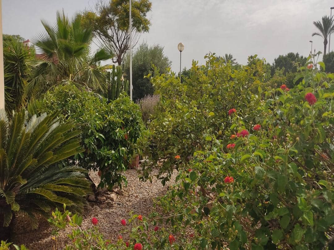 3 makuuhuone Huvila myytävänä paikassa Fuente Alamo de Murcia mukana uima-altaan - 349 000 € (Ref: 8987972)