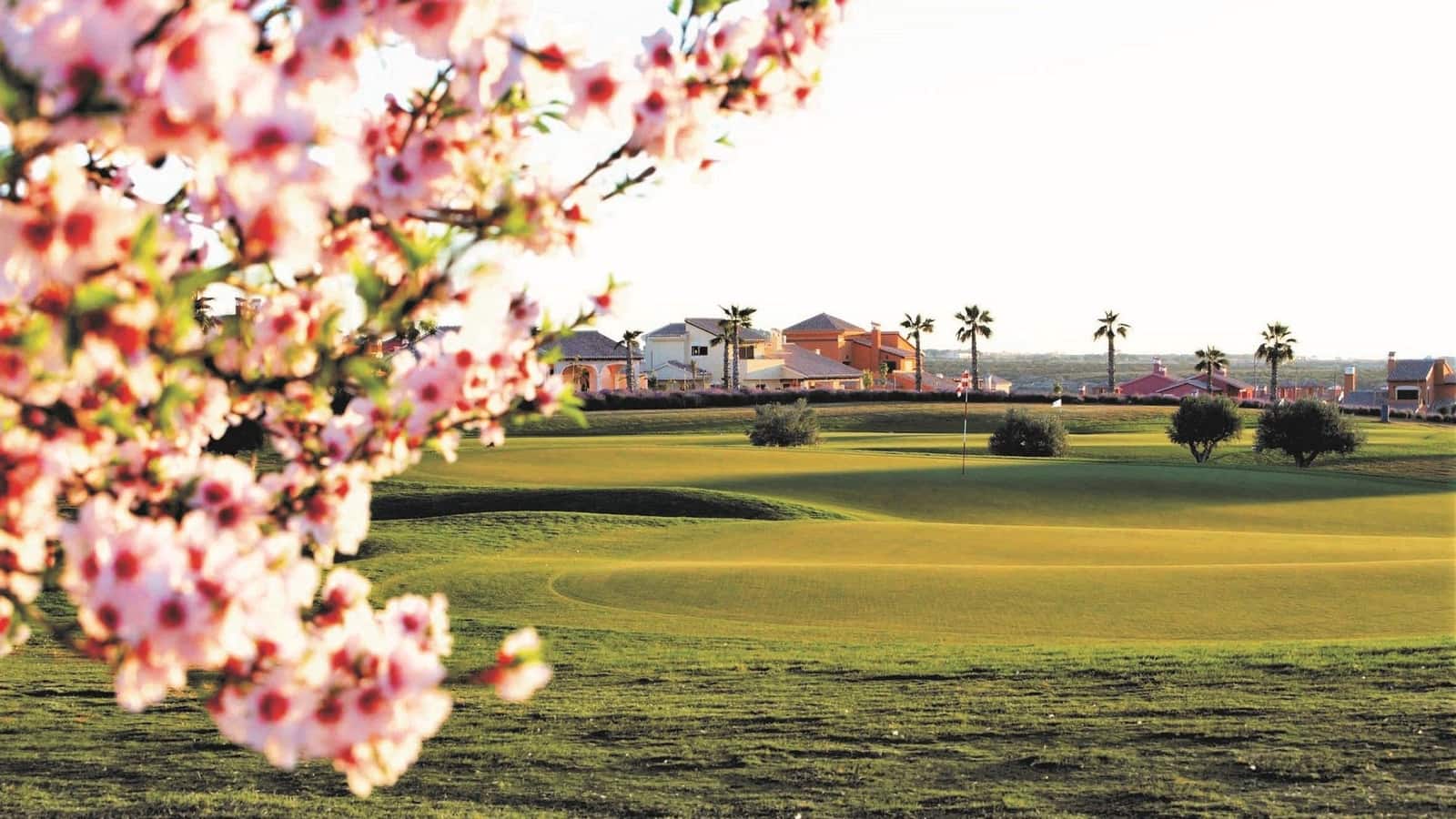 3 bedroom Villa for sale in Hacienda del Alamo with pool - € 349,000 (Ref: 8987972)