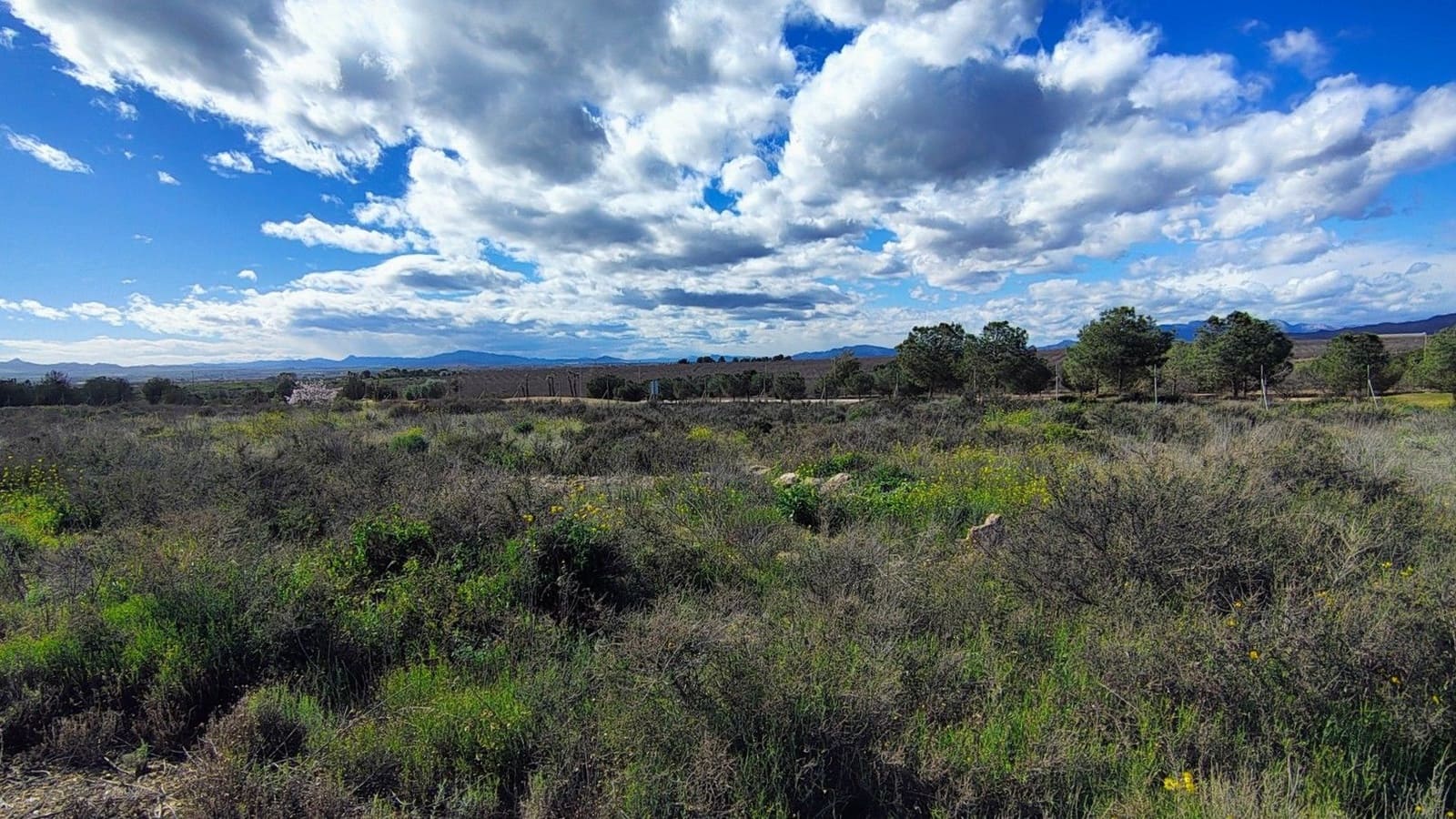 Area Edificabile in vendita in Fuente Alamo de Murcia - 79.950 € (Rif: 9638908)