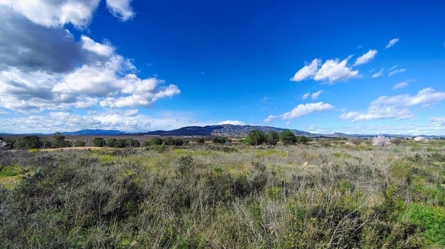 Terreno para Construção para venda em Fuente Alamo de Murcia - 79 950 € (Ref: 9638908)