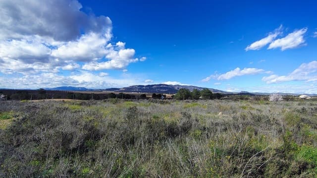 Tomt till salu i Hacienda del Alamo, Fuente Alamo de Murcia - 79 950 € (Ref: 9638909)