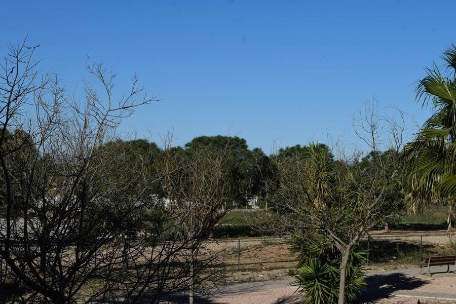 2 Zimmer Apartment zu verkaufen in Hacienda del Alamo mit Garage - 155.000 € (Ref: 9688741)