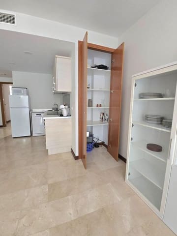 Piso de 1 habitación en Mercado, Alicante / Alacant ciudad en alquiler - 925 € (Ref: 10031966)