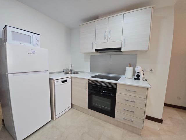 Piso de 1 habitación en Mercado, Alicante / Alacant ciudad en alquiler - 925 € (Ref: 10031966)