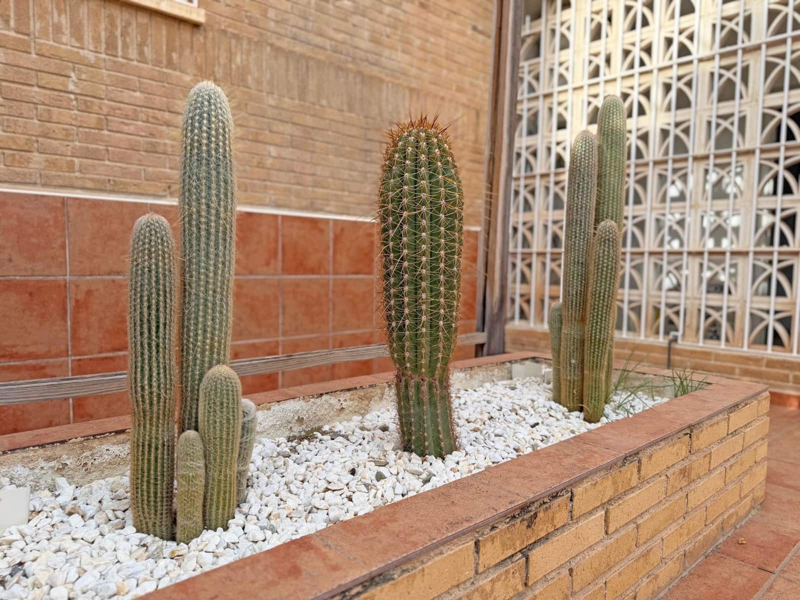 5 makuuhuone Huvila myytävänä paikassa Playa de San Juan mukana uima-altaan 
autotalli - 825 000 € (Ref: 9513602)