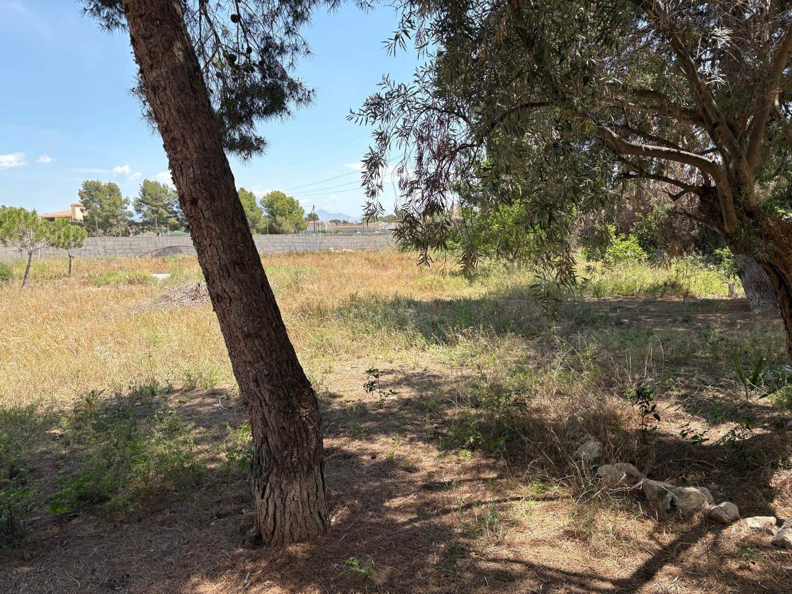 4 bedroom Villa for sale in San Vicente / Sant Vicent del Raspeig with pool - € 375,000 (Ref: 9591543)