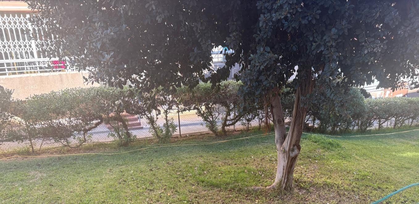 4 quarto Apartamento para venda em Alicante cidade - 119 000 € (Ref: 9591547)