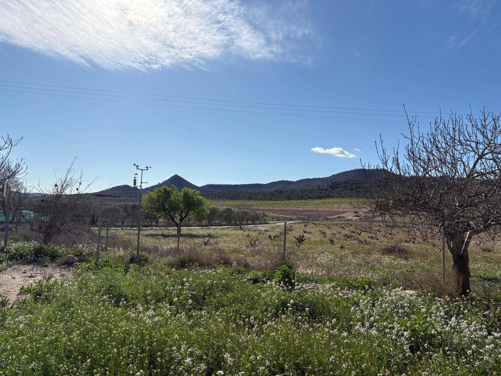 2 soveværelse Finca/Landehus til salg i Monovar / Monover - € 90.000 (Ref: 9591549)