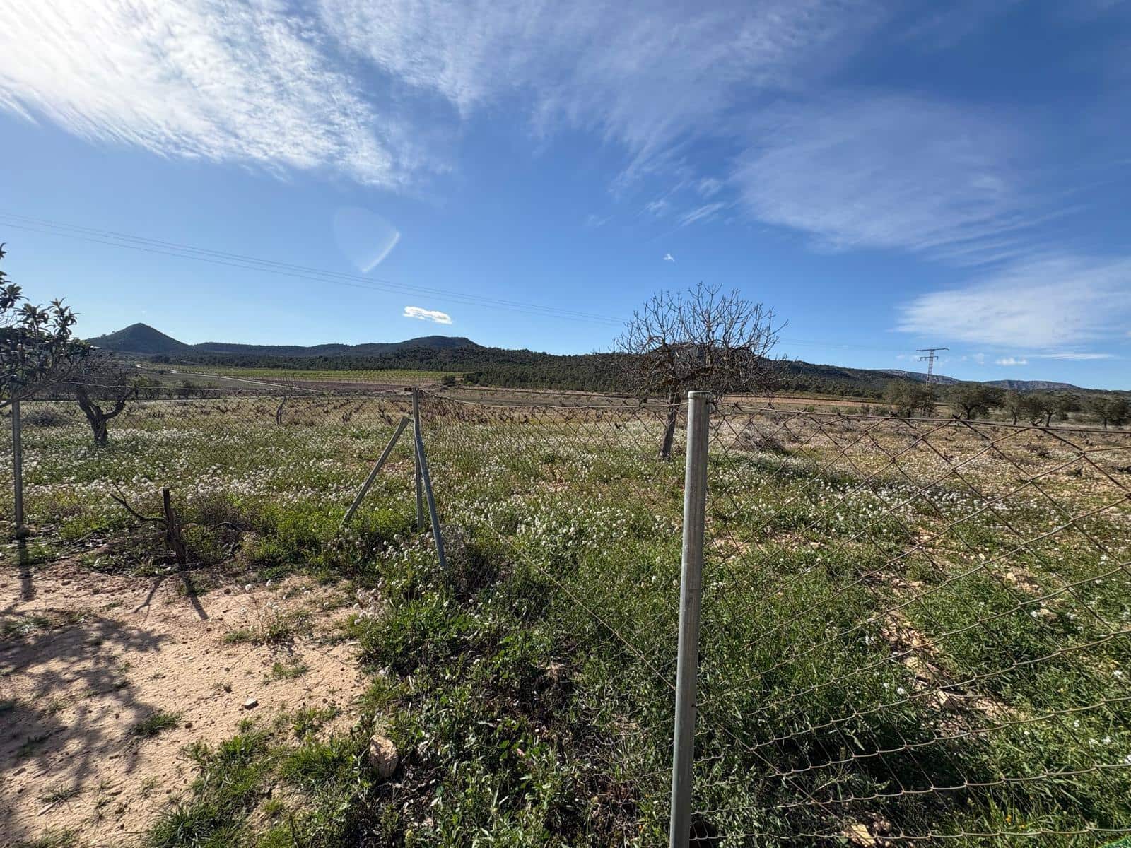 2 soveværelse Finca/Landehus til salg i Monovar / Monover - € 90.000 (Ref: 9591549)