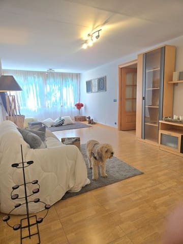 Piso de 3 habitaciones en Garbinet - Parque de las Avenidas, Alicante / Alacant ciudad en venta - 143.550 € (Ref: 9763701)