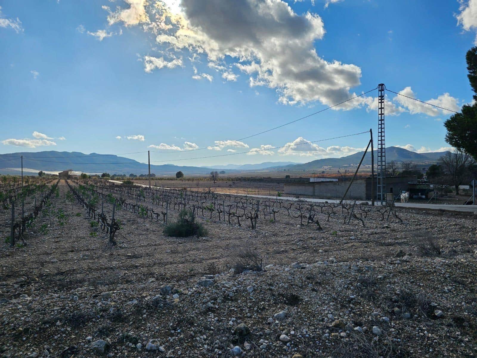 Byggegrund til salg i Salinas - € 45.000 (Ref: 9949980)