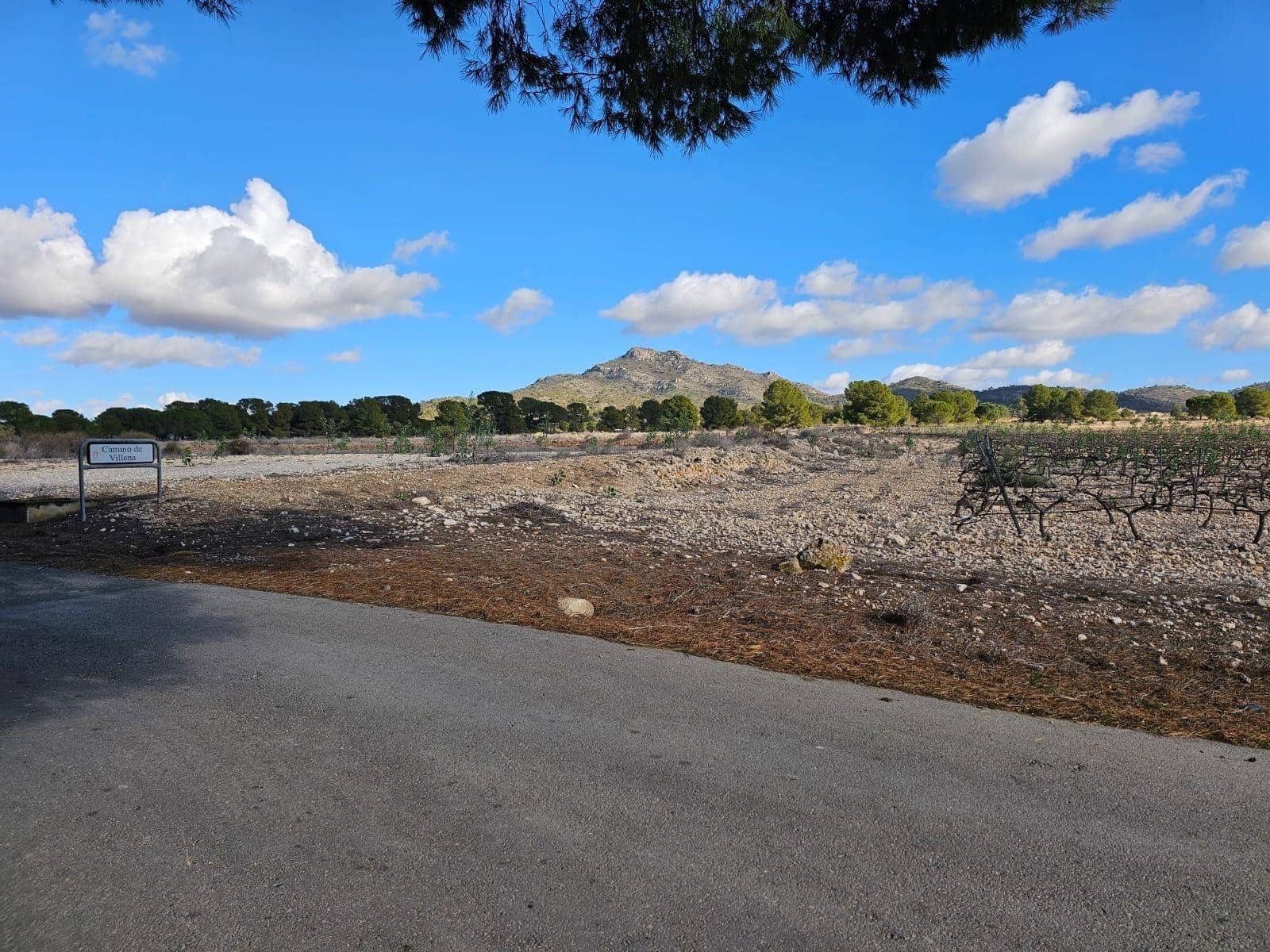 Byggegrund til salg i Salinas - € 45.000 (Ref: 9949980)