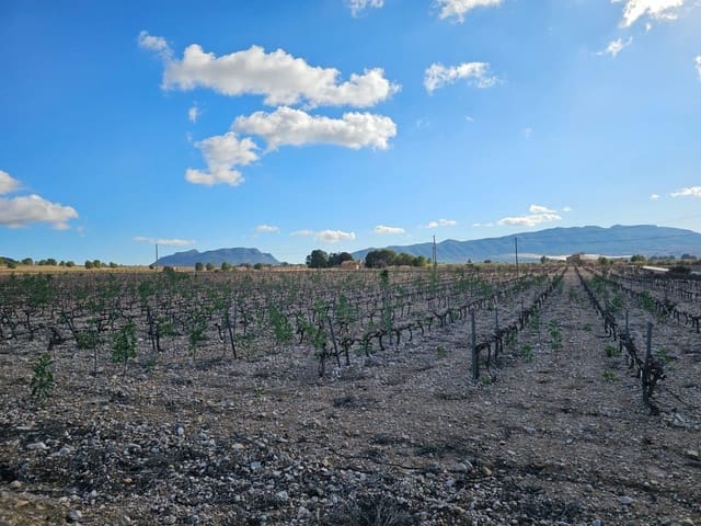 Byggegrund til salg i Salinas - € 45.000 (Ref: 9949980)