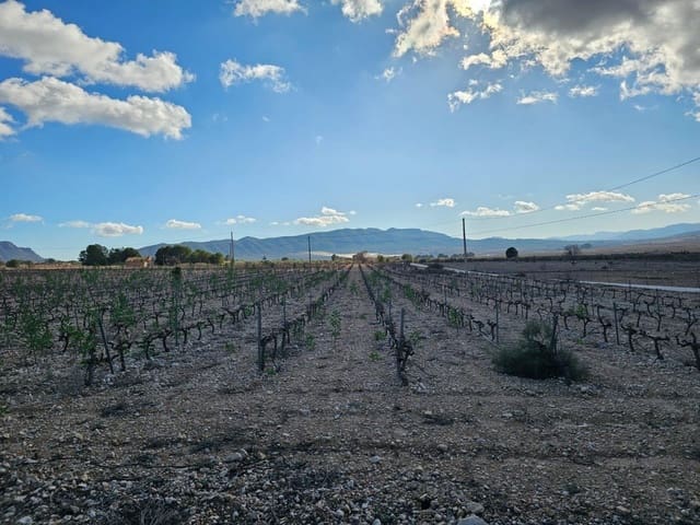 Byggegrund til salg i Salinas - € 45.000 (Ref: 9949980)