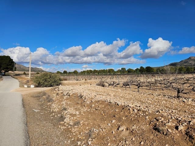 Byggegrund til salg i Salinas - € 45.000 (Ref: 9949980)