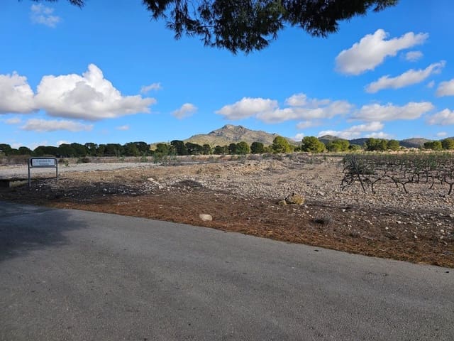 Byggegrund til salg i Salinas - € 45.000 (Ref: 9949980)