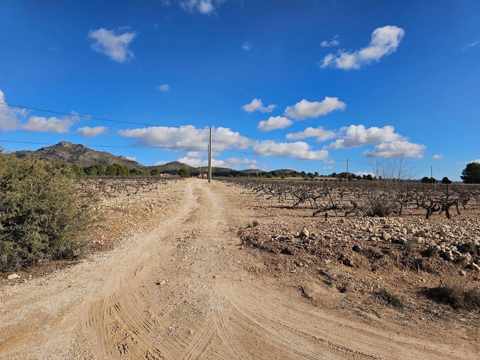 Byggegrund til salg i Salinas - € 45.000 (Ref: 9949980)