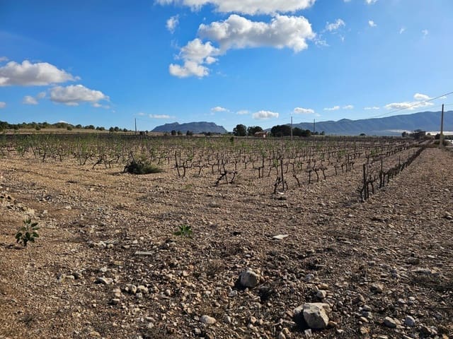 Byggegrund til salg i Salinas - € 45.000 (Ref: 9949980)