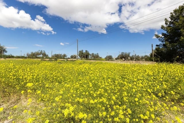 3 Zimmer Finca/Landgut zu verkaufen in Sax - 220.000 € (Ref: 9952788)