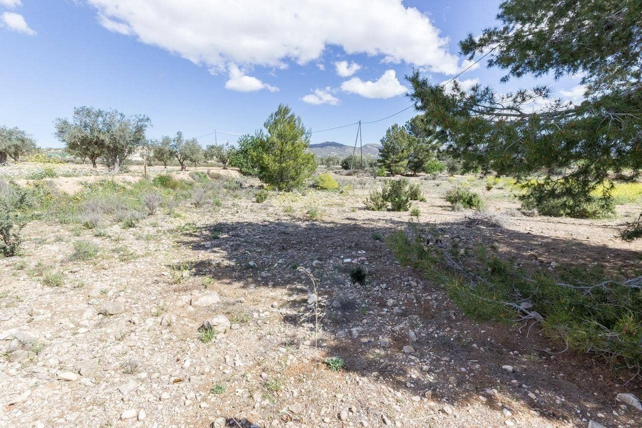 3 Zimmer Finca/Landgut zu verkaufen in Sax - 220.000 € (Ref: 9952788)