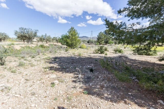 3 Zimmer Finca/Landgut zu verkaufen in Sax - 220.000 € (Ref: 9952788)