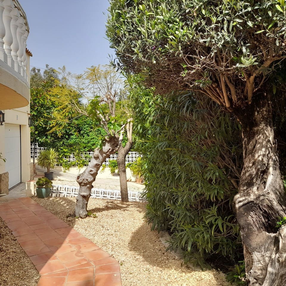 6 chambre Villa/Maison à vendre à Orba avec piscine garage - 499 950 € (Ref: 10111843)