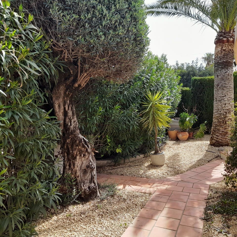 6 chambre Villa/Maison à vendre à Orba avec piscine garage - 499 950 € (Ref: 10111843)
