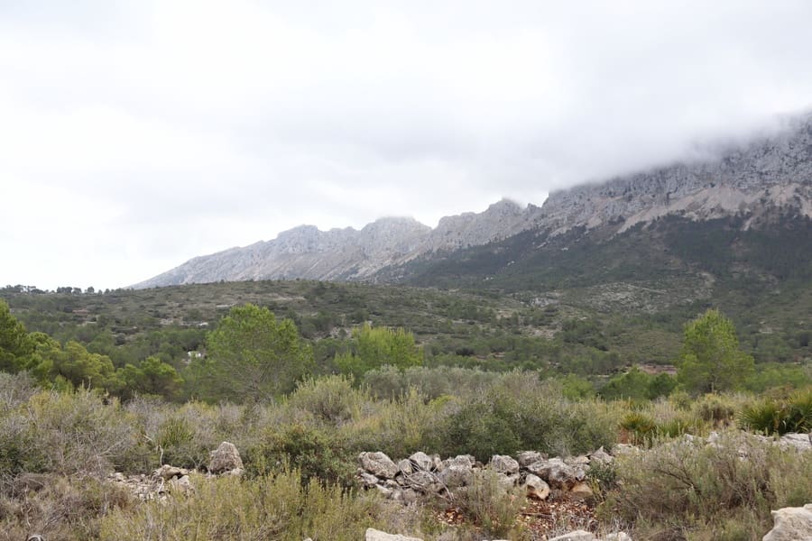 Działka budowlana na sprzedaż w Jalon / Xalo - 149 000 € (Ref: 6028299)