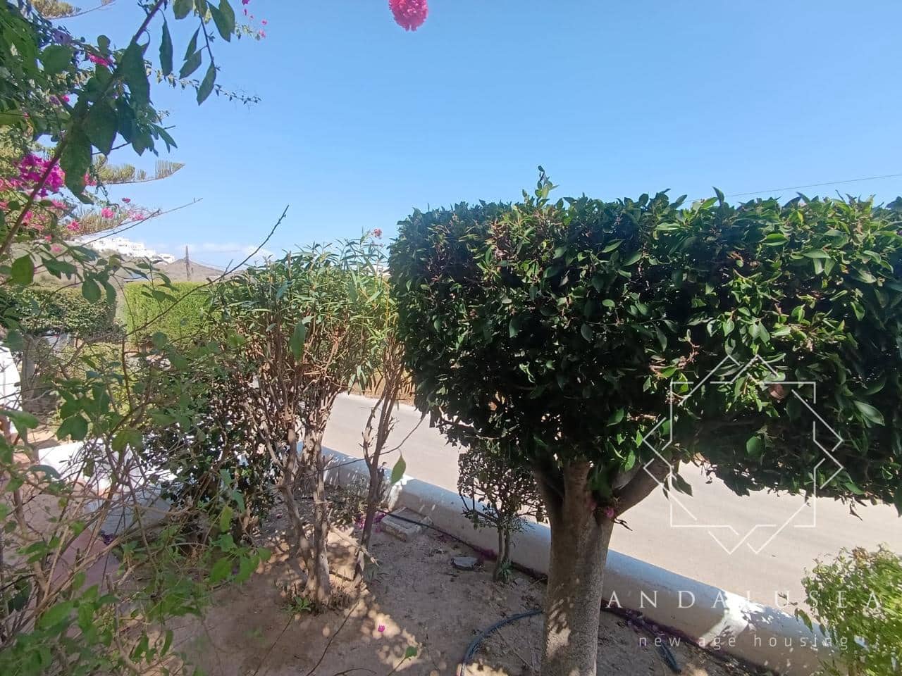 2 bedroom Flat for rent in Mojacar with pool - € 700 (Ref: 10037710)