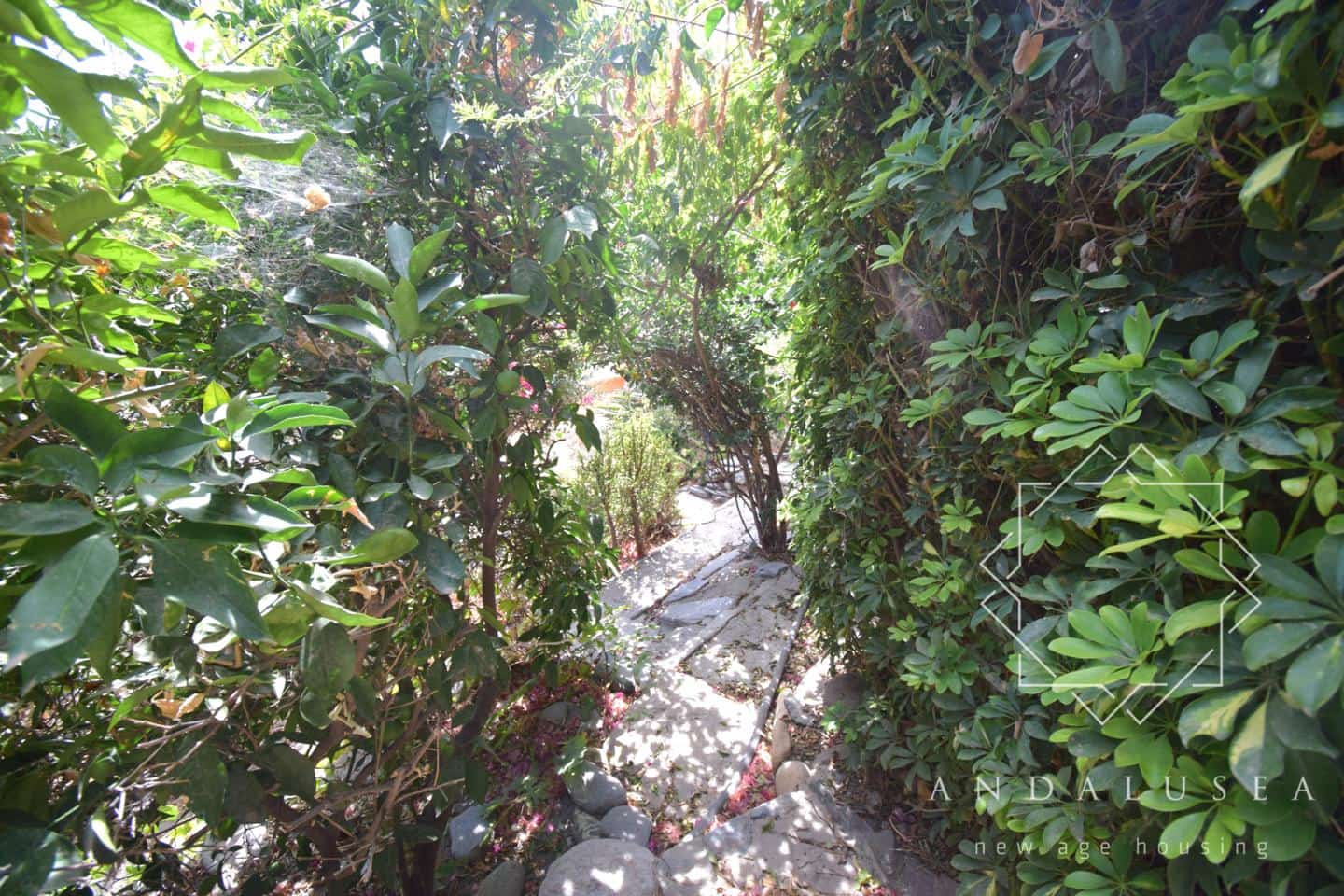 Chalet de 4 habitaciones en Sopalmo en venta - 349.995 € (Ref: 10062832)