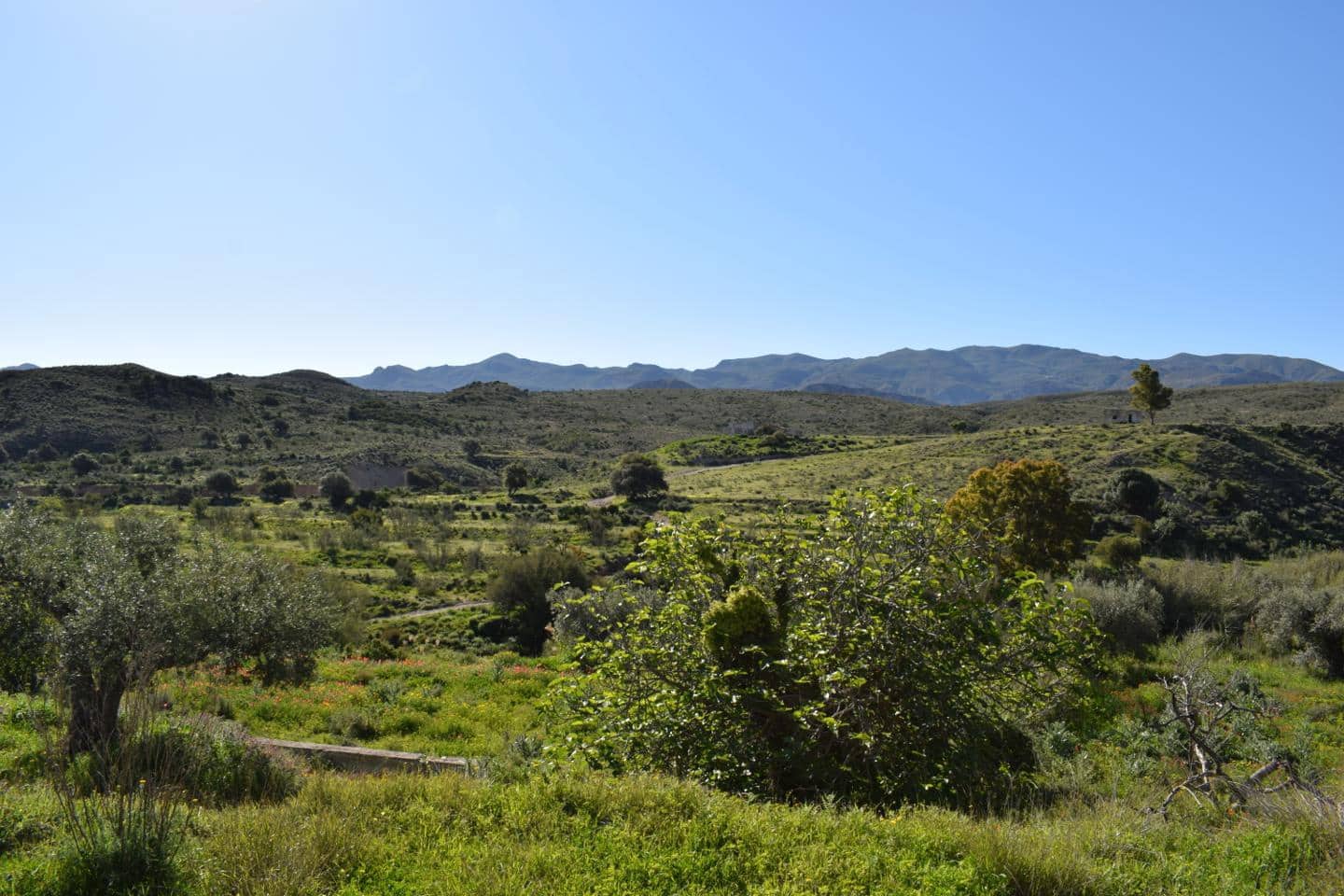 Terre non Aménagée à vendre à Los Gallardos - 125 000 € (Ref: 3595775)