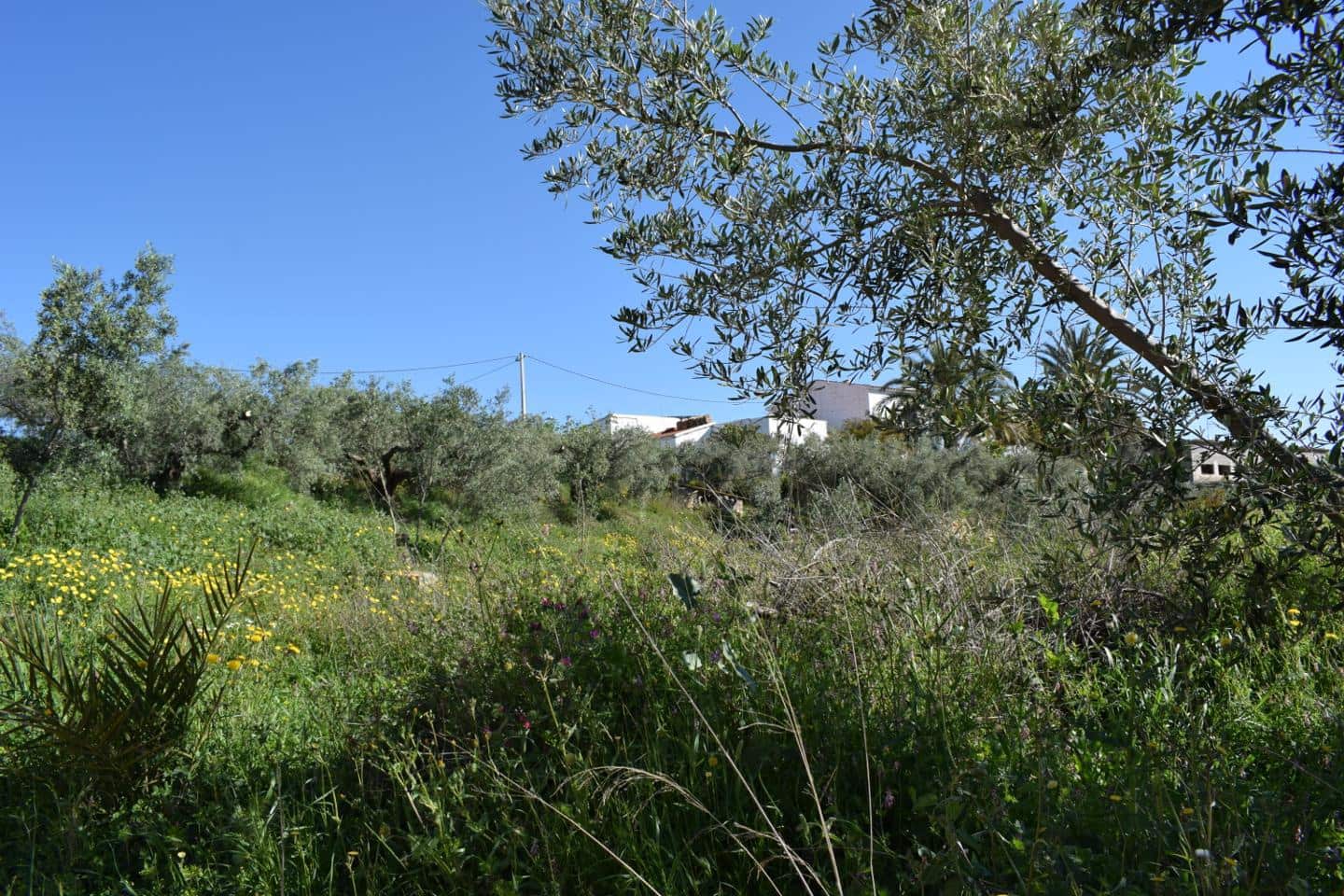 Terre non Aménagée à vendre à Los Gallardos - 125 000 € (Ref: 3595775)