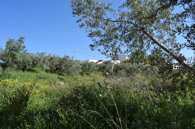 Mark till salu i Los Gallardos - 125 000 € (Ref: 3595775)