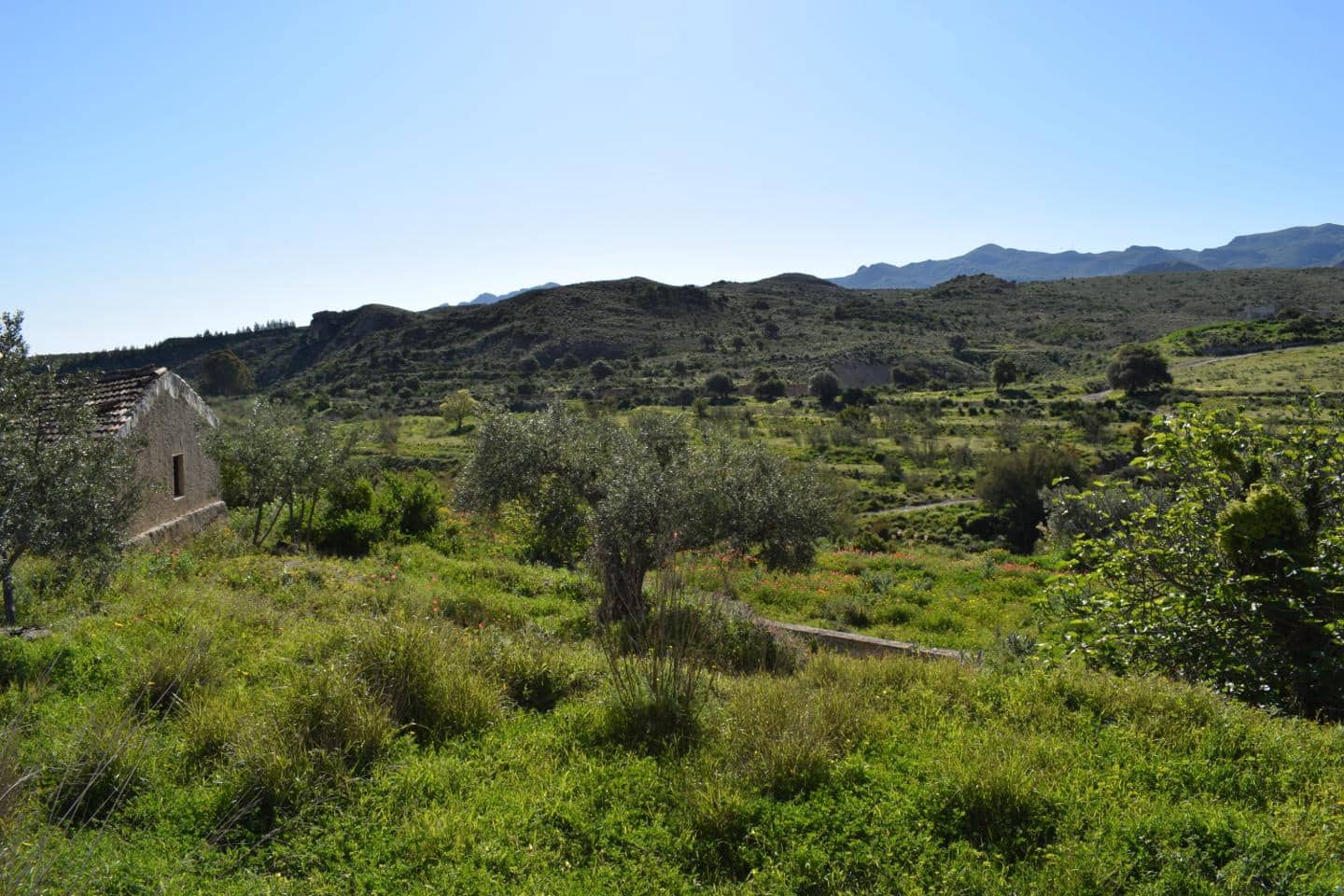 Terre non Aménagée à vendre à Los Gallardos - 125 000 € (Ref: 3595775)