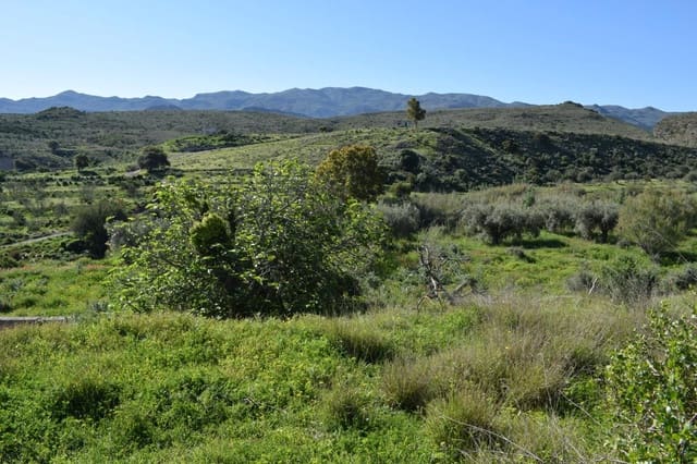 Mark till salu i Los Gallardos - 125 000 € (Ref: 3595775)