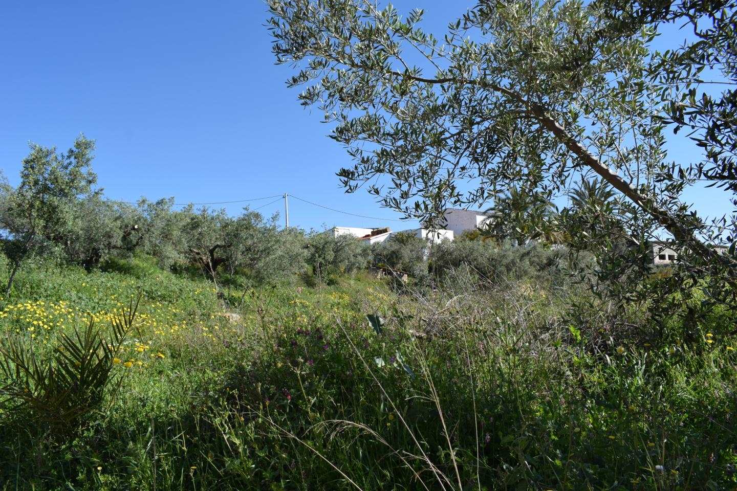 Grunde uden byggetilladelser til salg i Los Gallardos - € 125.000 (Ref: 3595775)