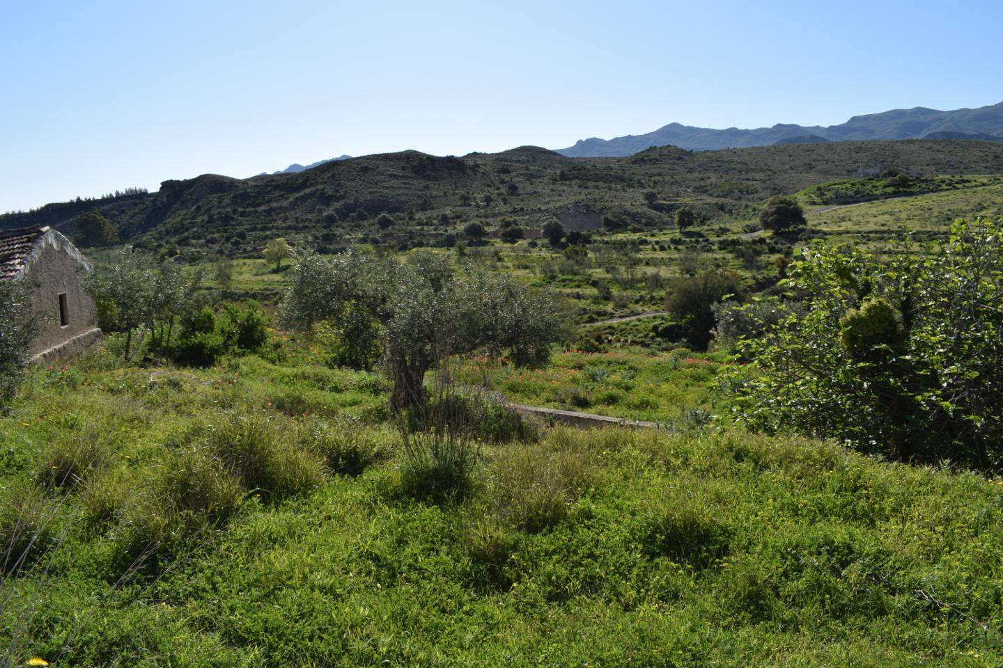 Grunde uden byggetilladelser til salg i Los Gallardos - € 125.000 (Ref: 3595775)