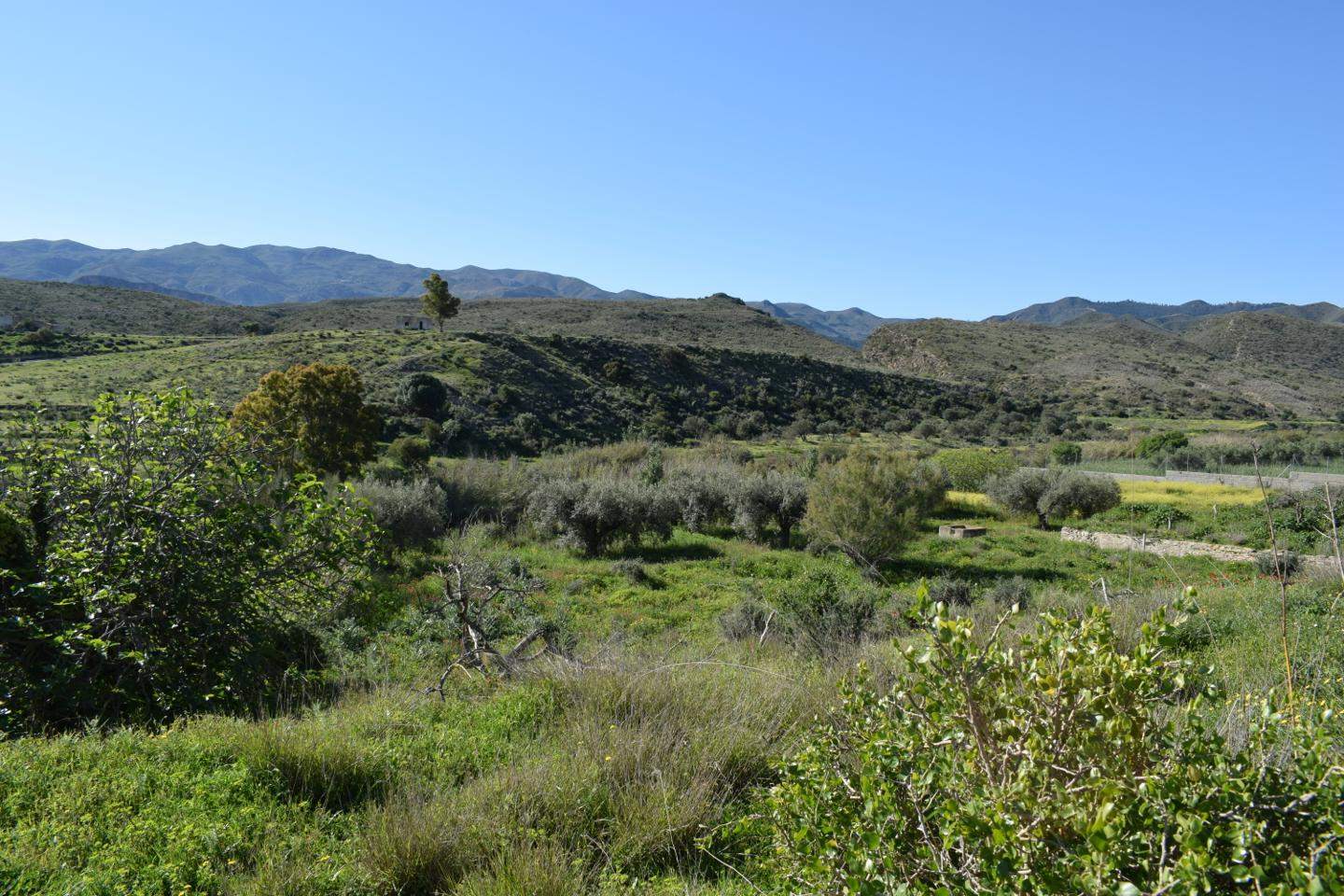 Grunde uden byggetilladelser til salg i Los Gallardos - € 125.000 (Ref: 3595775)