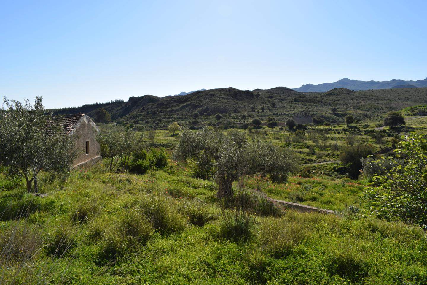 Grunde uden byggetilladelser til salg i Los Gallardos - € 125.000 (Ref: 3595775)