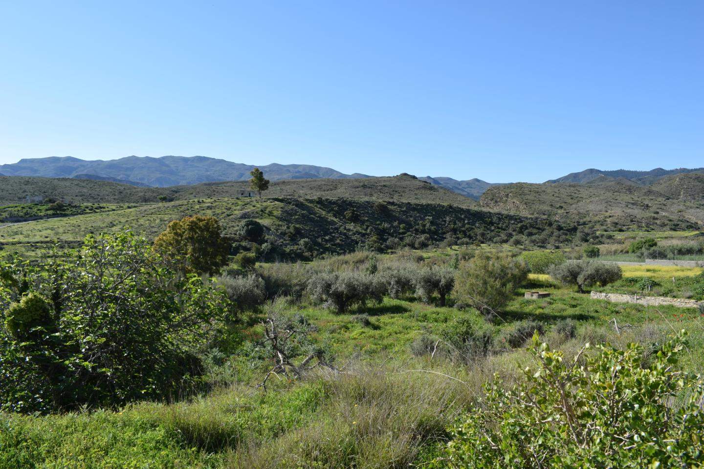 Grunde uden byggetilladelser til salg i Los Gallardos - € 125.000 (Ref: 3595775)