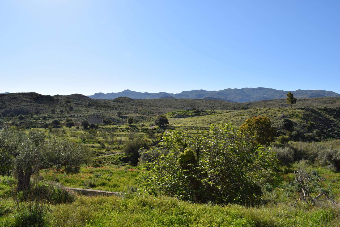 Grunde uden byggetilladelser til salg i Los Gallardos - € 125.000 (Ref: 3595775)