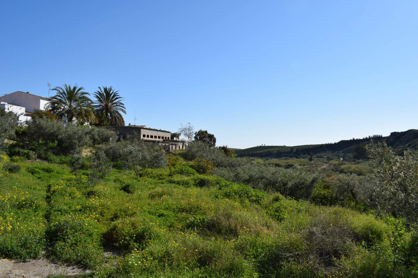 Grunde uden byggetilladelser til salg i Los Gallardos - € 125.000 (Ref: 3595775)