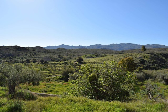 Grond te koop in Los Gallardos - € 125.000 (Ref: 3595775)