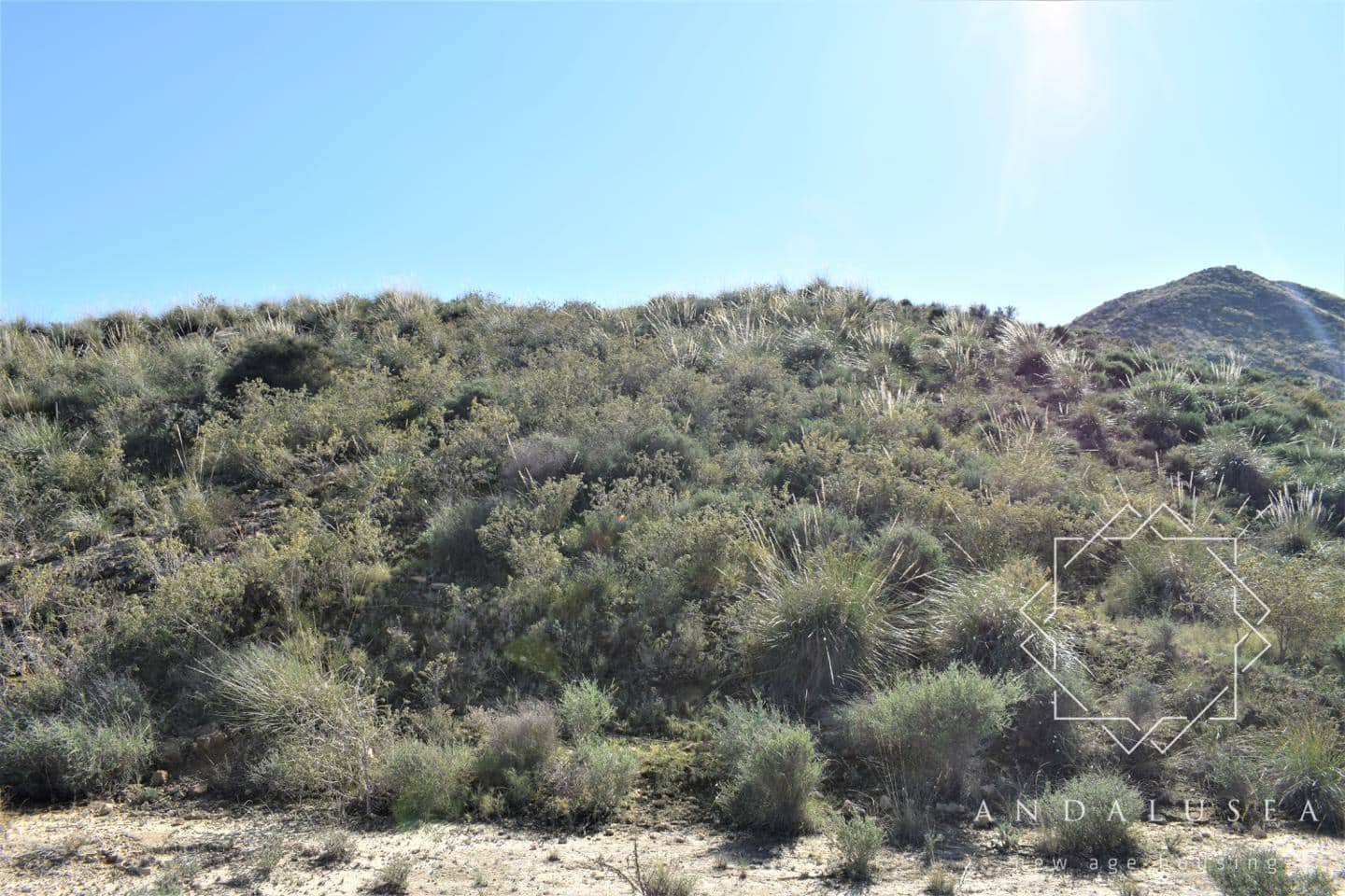 Grunde uden byggetilladelser til salg i Mojacar - € 95.000 (Ref: 5091562)