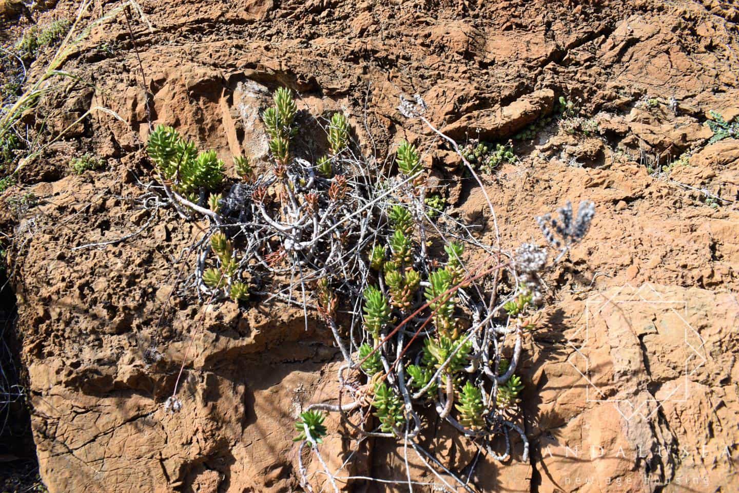 Grunde uden byggetilladelser til salg i Mojacar - € 165.000 (Ref: 5886753)