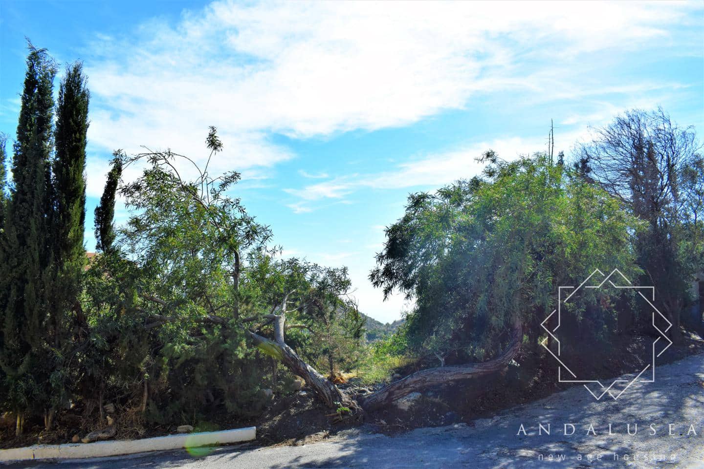 Grunde uden byggetilladelser til salg i Mojacar - € 165.000 (Ref: 5886753)