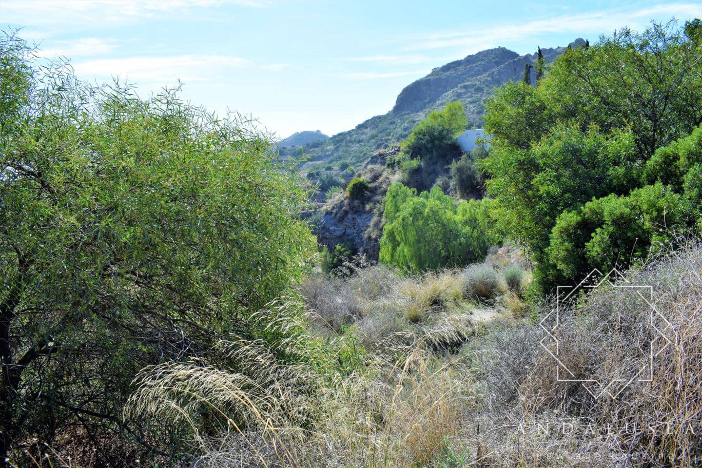 Terre non Aménagée à vendre à Mojacar - 165 000 € (Ref: 5886753)