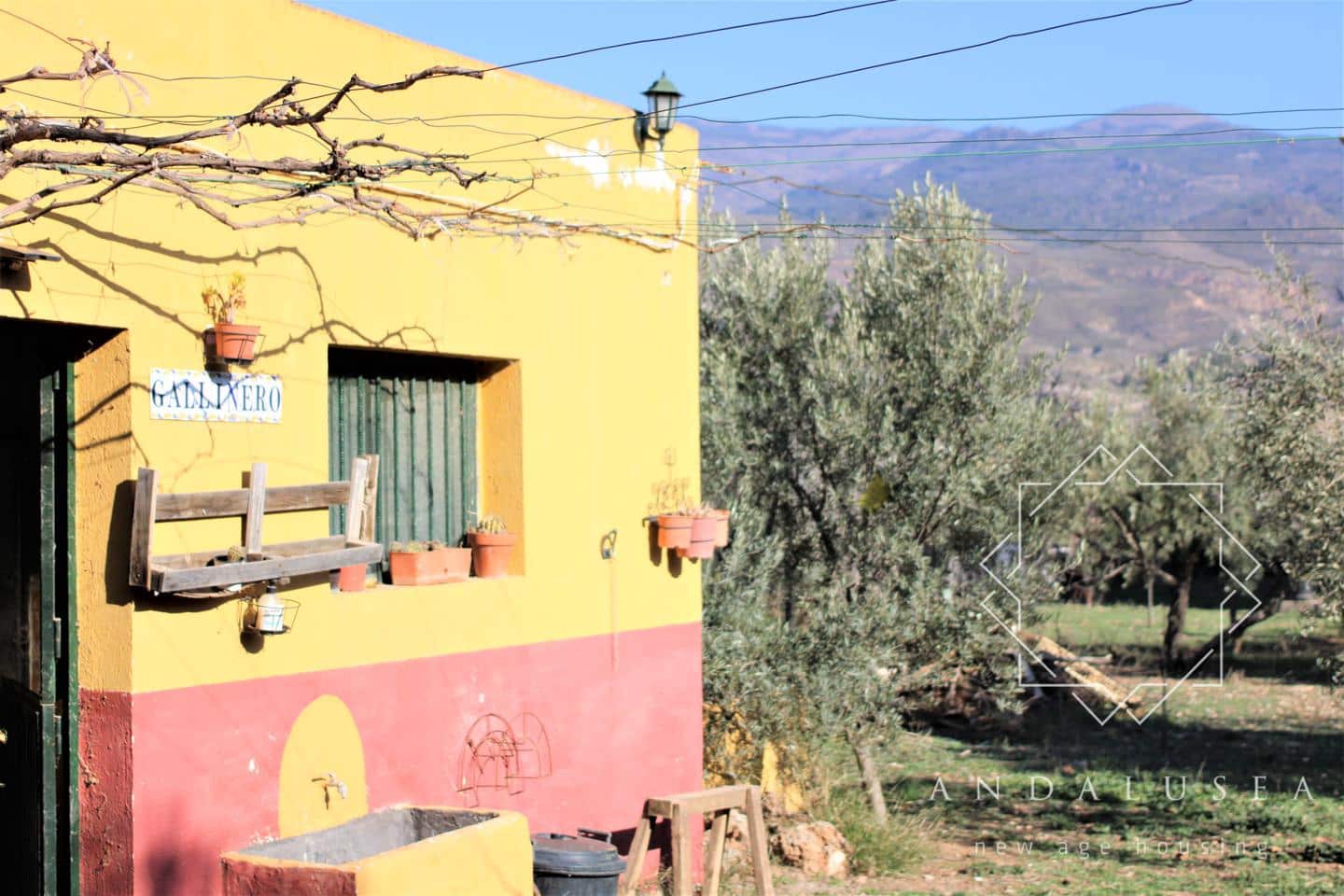 5 chambre Villa/Maison à vendre à Fondon - 450 000 € (Ref: 6644242)